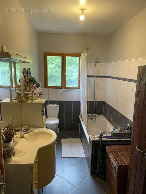 Maison avec vue pyrénéen avec dépendances aménagables, 2.8ha - photo 19