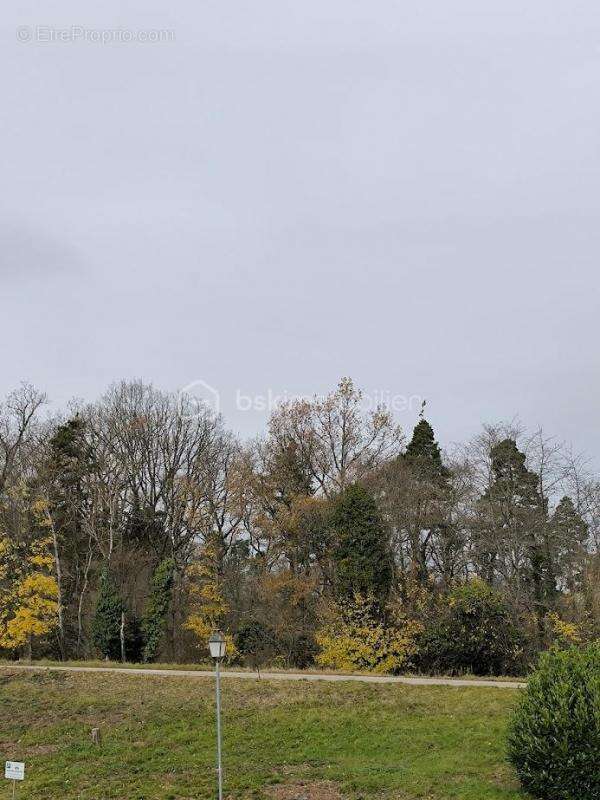 Appartement à SELESTAT