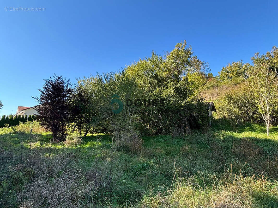 Terrain à GUYANS-VENNES