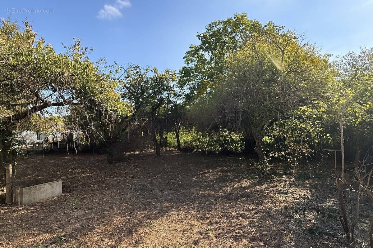Terrain à CIVRAY-DE-TOURAINE