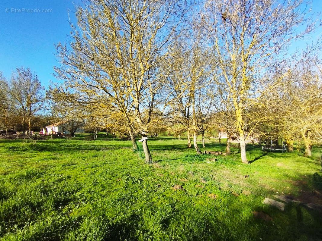 Terrain vue dégagée - photo 2