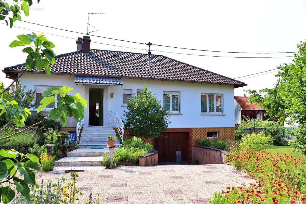 Maison à PLOBSHEIM
