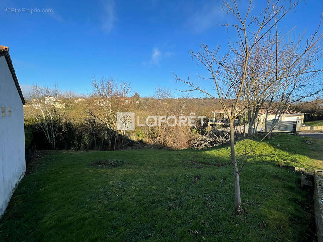 Terrain à LA ROCHE-VINEUSE