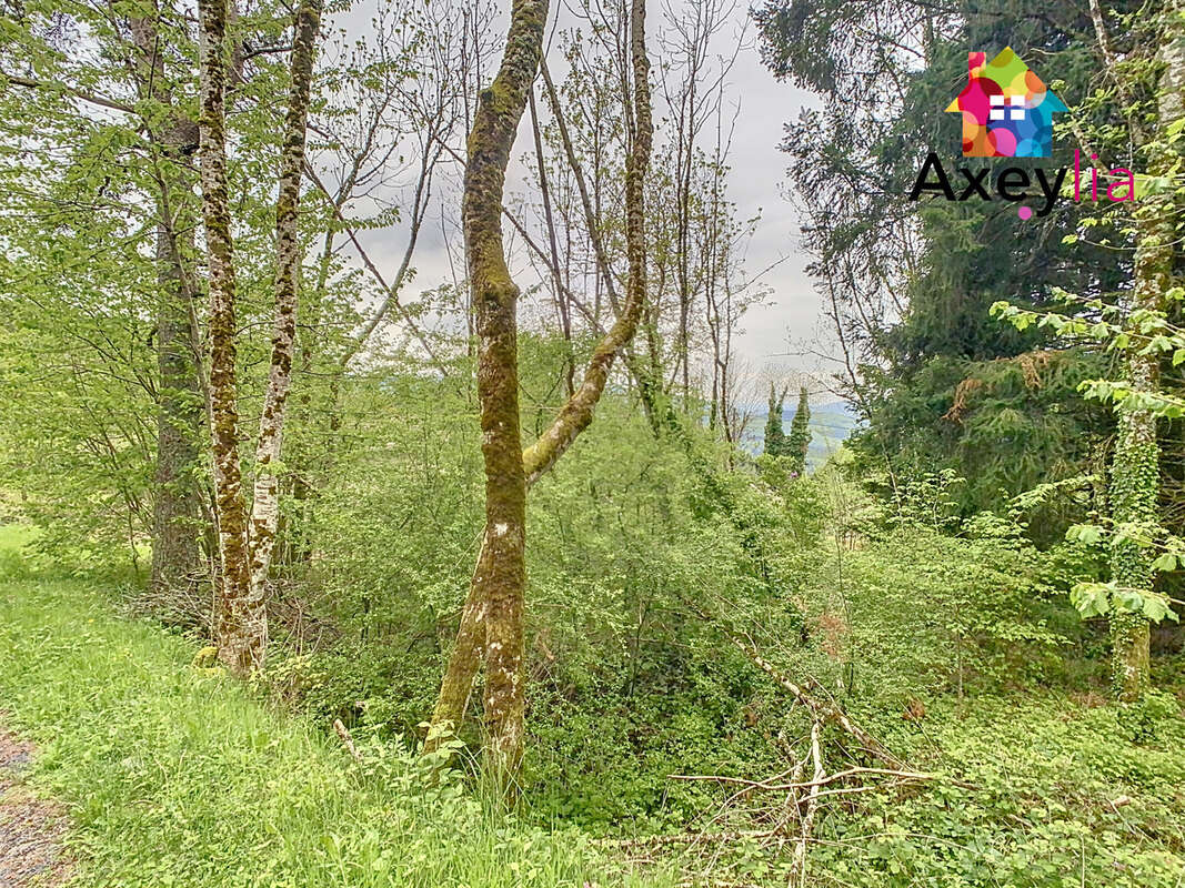 Maison à SAINT-NICOLAS-DES-BIEFS