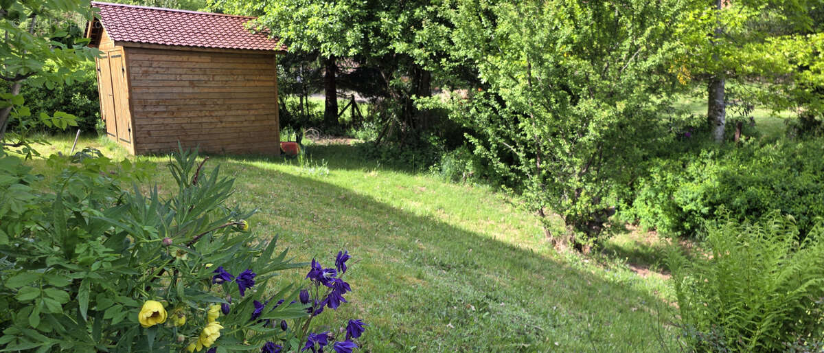 Plaine, chalet cosy au calme, en lisière de forêt, coup de coeur absolu ! - photo 20