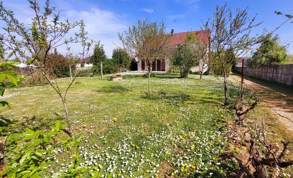 Maison à CHAMPIGNY