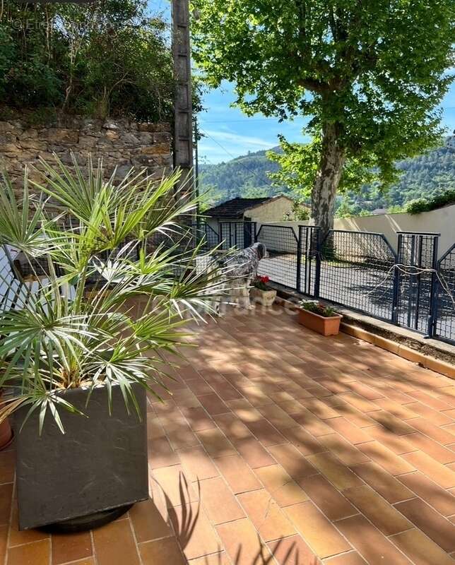 Maison à MONTAZELS