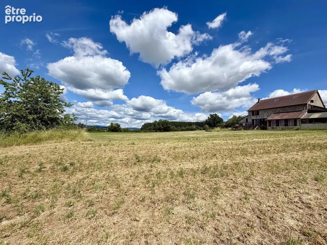 Grand ensemble, entièrement isolé avec 1,4 hectare à vendre près de Remilly - photo 62
