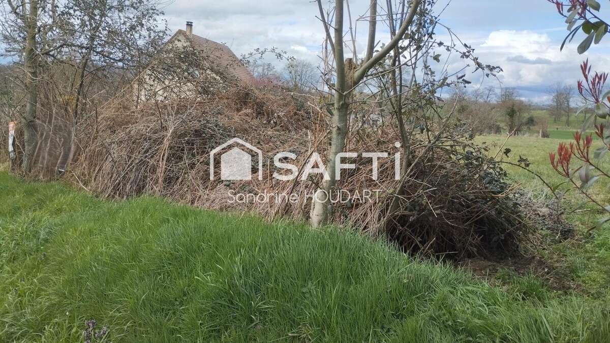 Photo 5 - Terrain à LA BAZOQUE