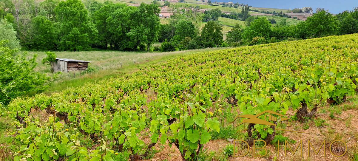 Terrain à JULIENAS