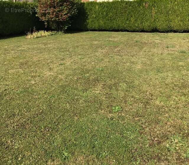 Terrain à MONTREUIL