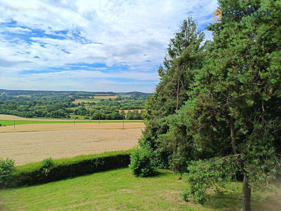 T4 96 m² sur sous-sol - photo 16