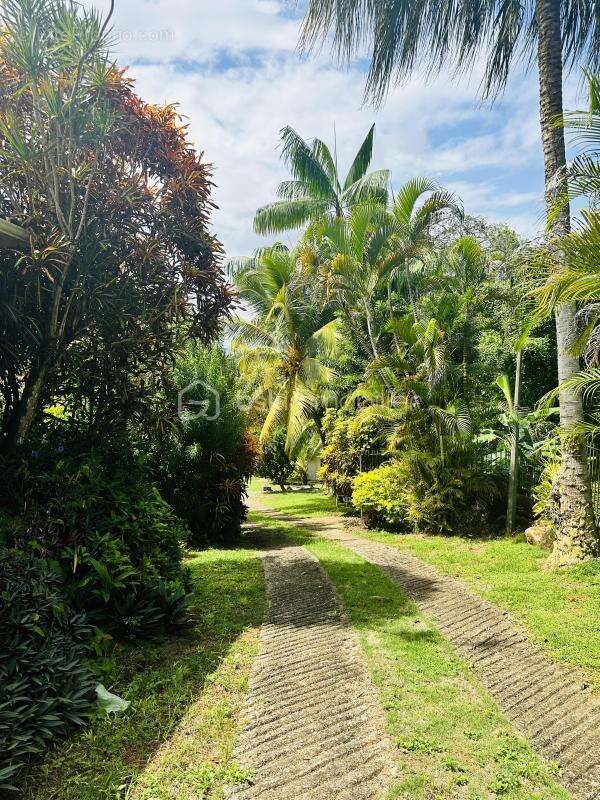 Maison à REMIRE-MONTJOLY