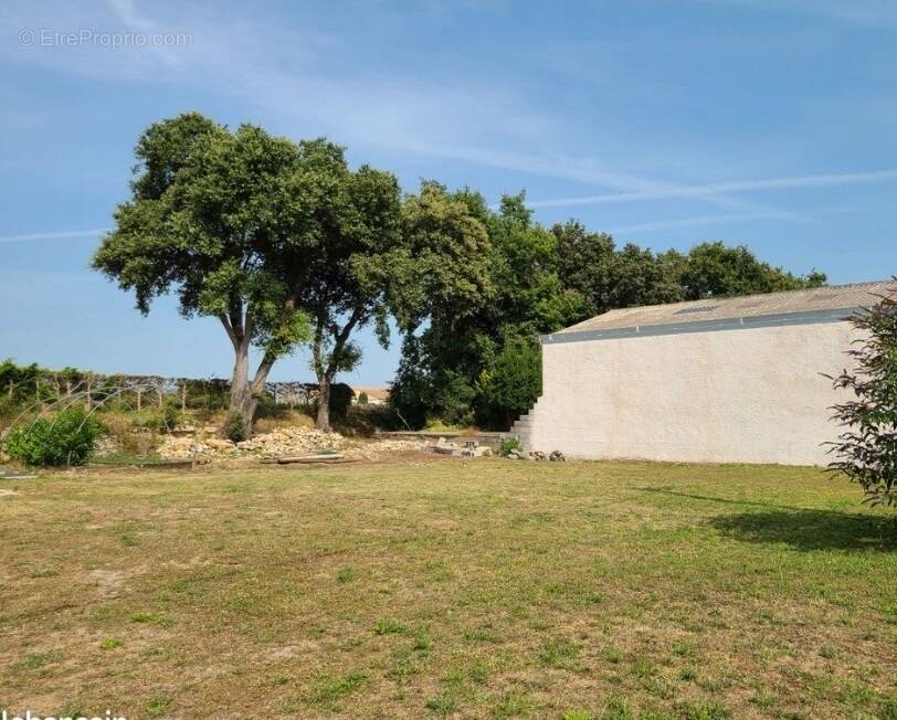 Terrain à SAINT-SULPICE-D'ARNOULT