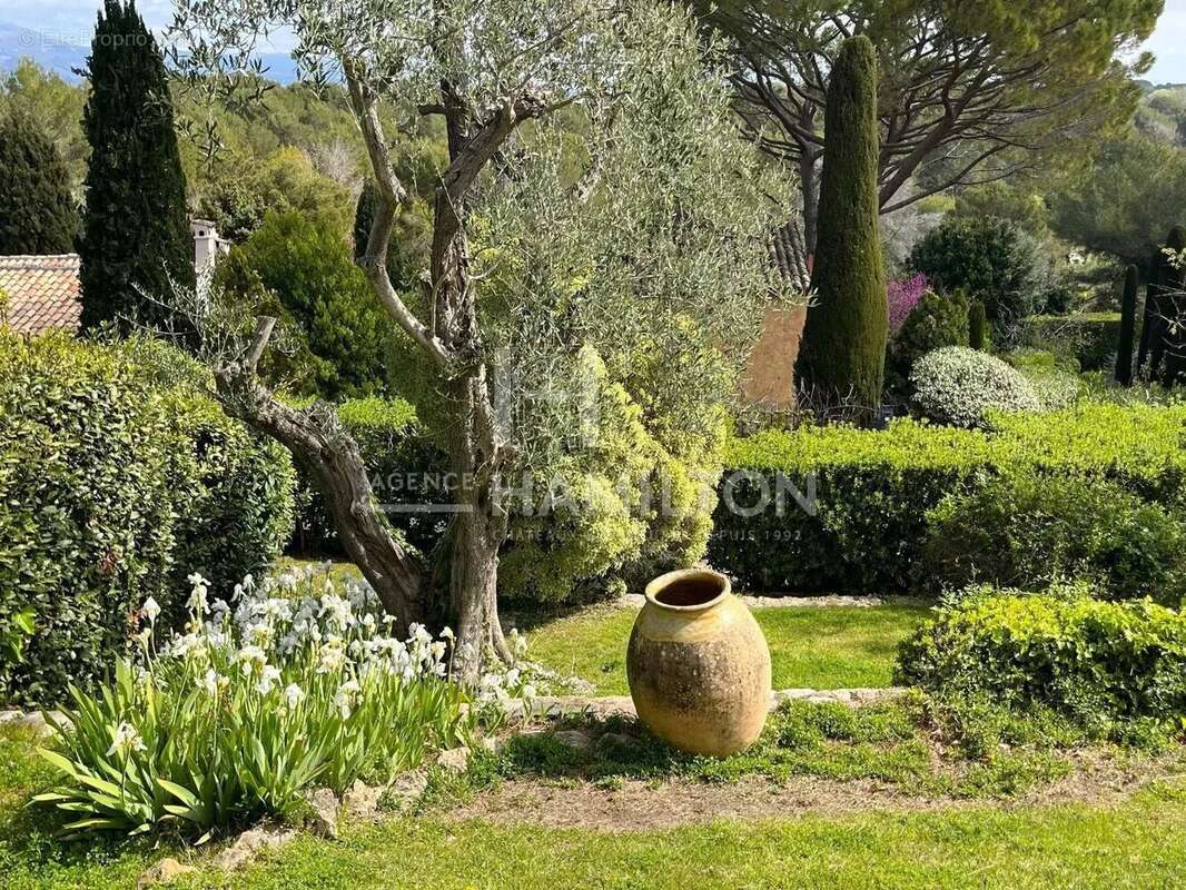 Maison à MOUANS-SARTOUX