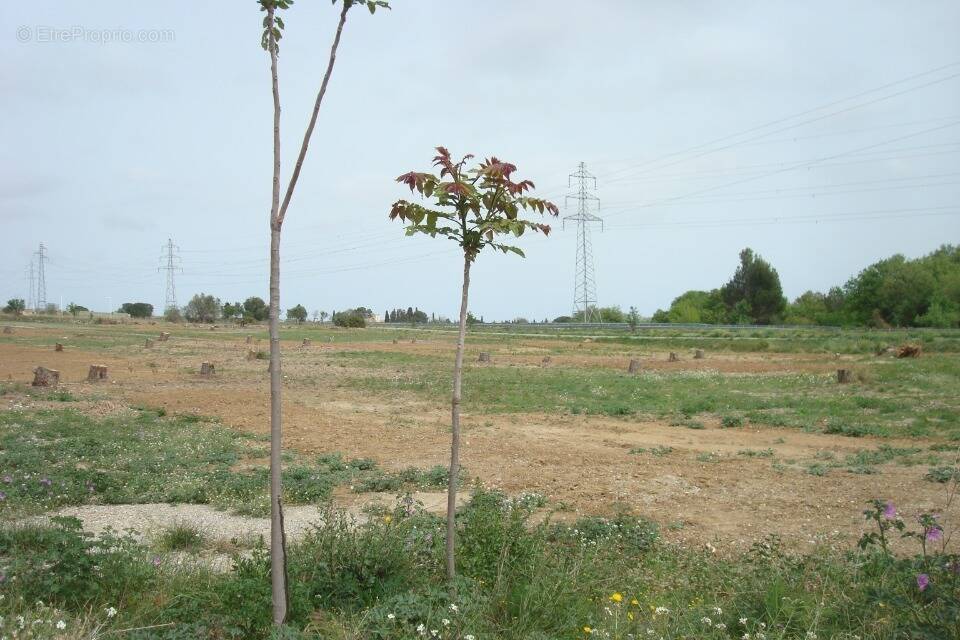 Terrain à PERPIGNAN