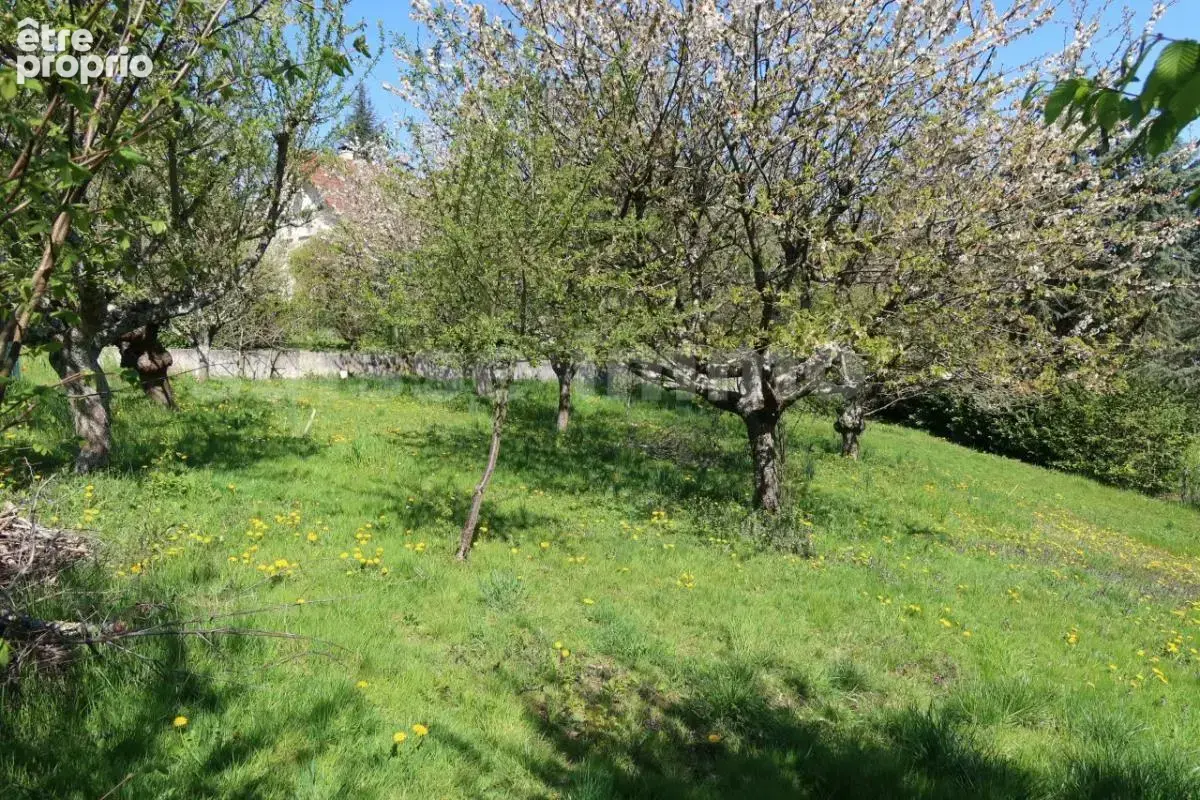 Terrain - 120 m2 - photo 10