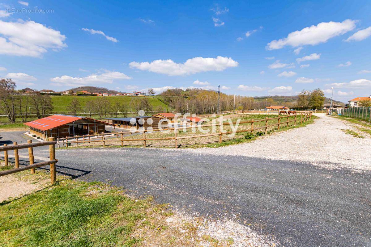 Commerce à SAINT-JEAN-DE-BOURNAY