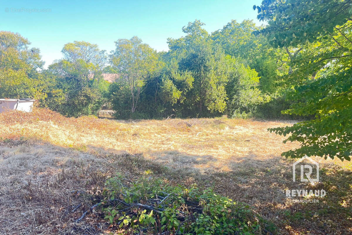 Terrain 1220 m² à Clermont-L'herault  - photo 2