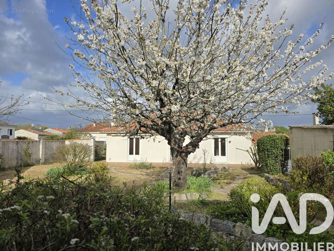 Photo 6 - Maison à DOMPIERRE-SUR-MER