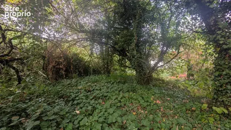 Photo Terrain à Pressins au prix de 56 000€