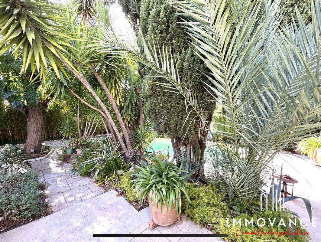 Maison à MONTPELLIER