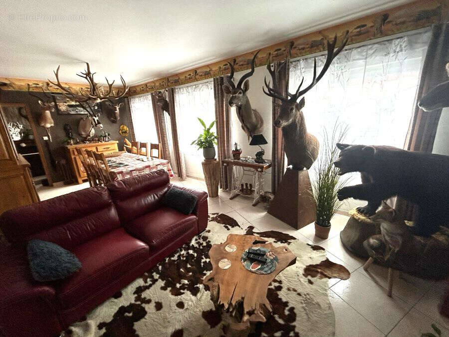 Maison à SAINT-AMAND-LES-EAUX