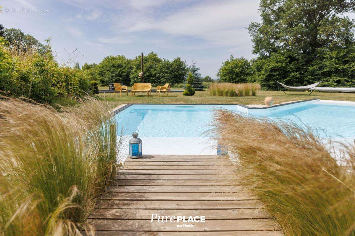 Villa d’architecte contemporaine avec piscine chauffée et vues sur le Puy de Dôme et le Sancy - photo 4