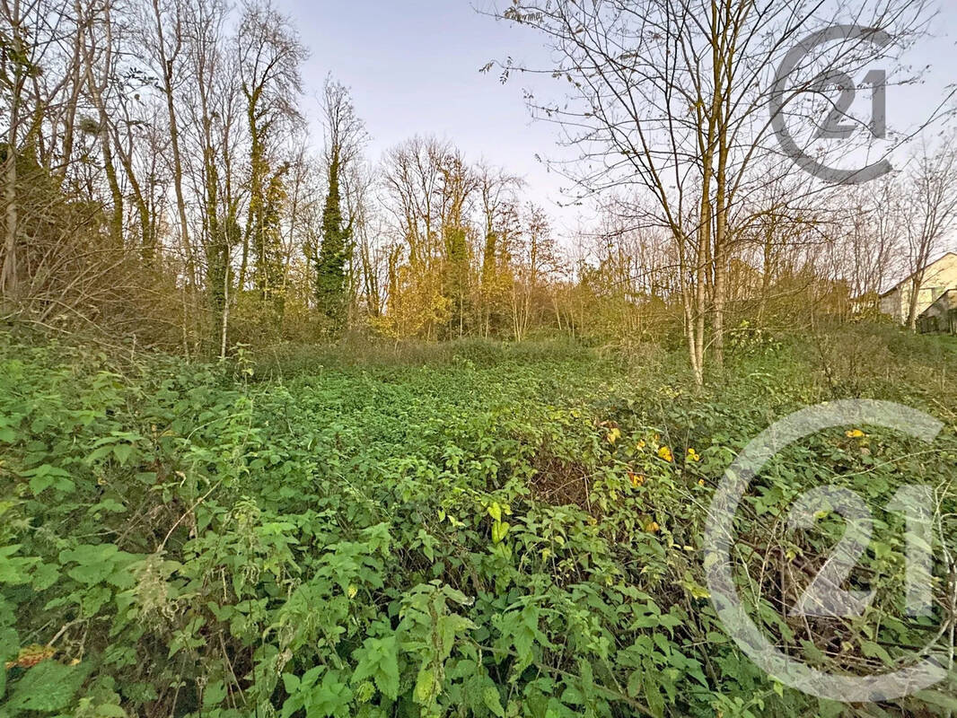 Terrain à CHALAUTRE-LA-PETITE