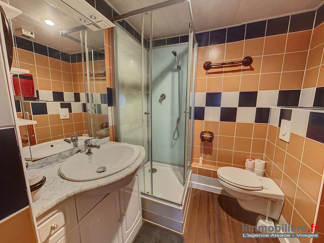 Maison 140 m² à Sainte-Marie-Aux-Mines  - photo 5
