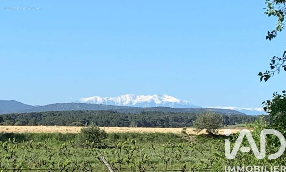 Photo 2 - Maison à NARBONNE