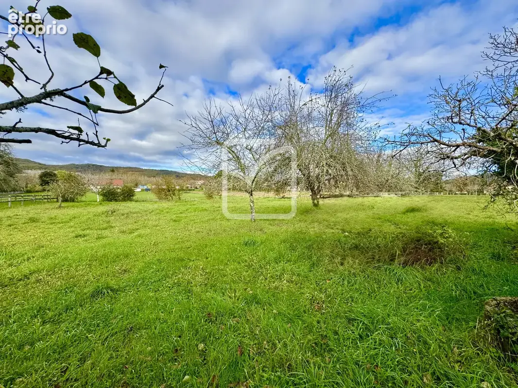 SOUS COMPROMIS _ Vaste Maison de campagne avec dépendances et grand terrain arboré de 3282 m2 - photo 11