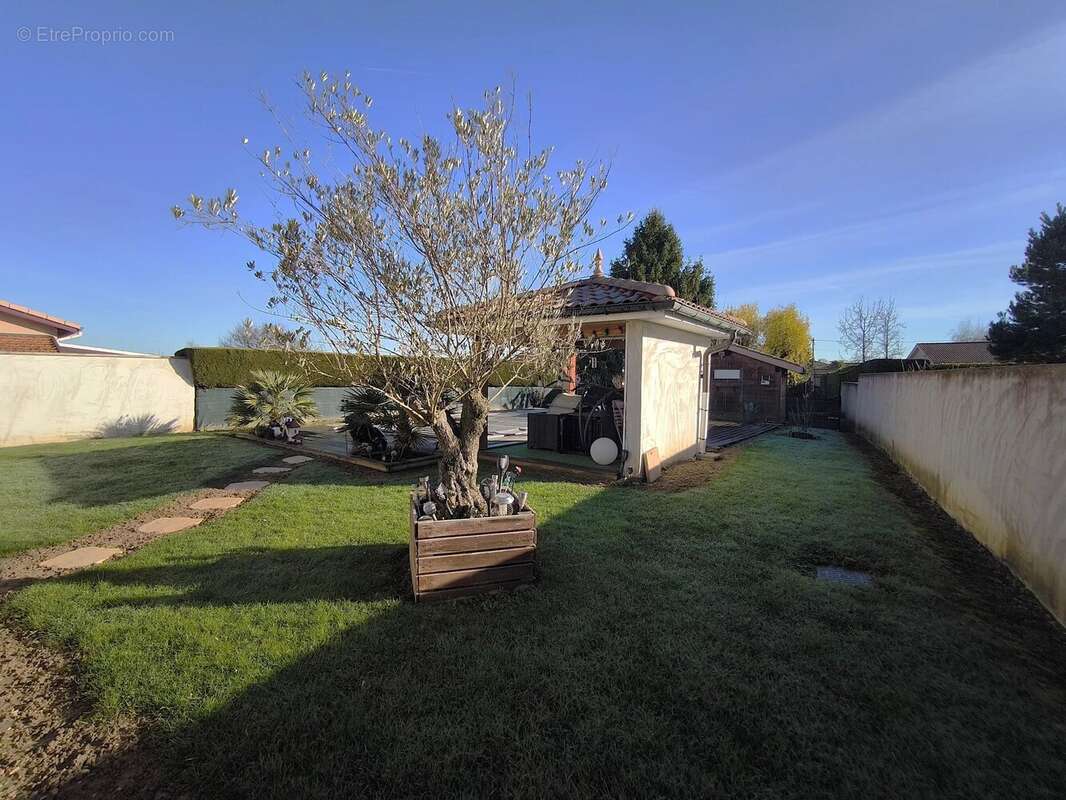 Maison à CRUZILLES-LES-MEPILLAT