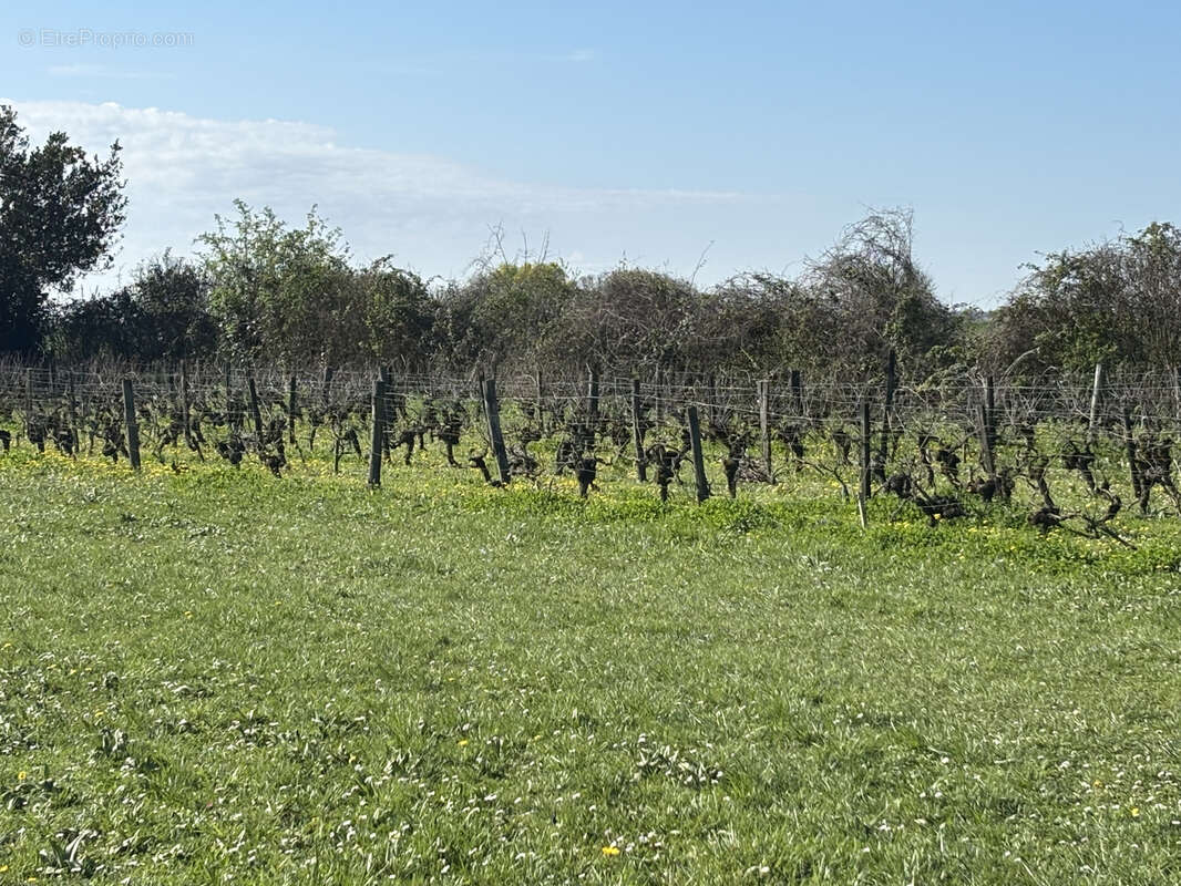 Maison à AIGREFEUILLE-D'AUNIS