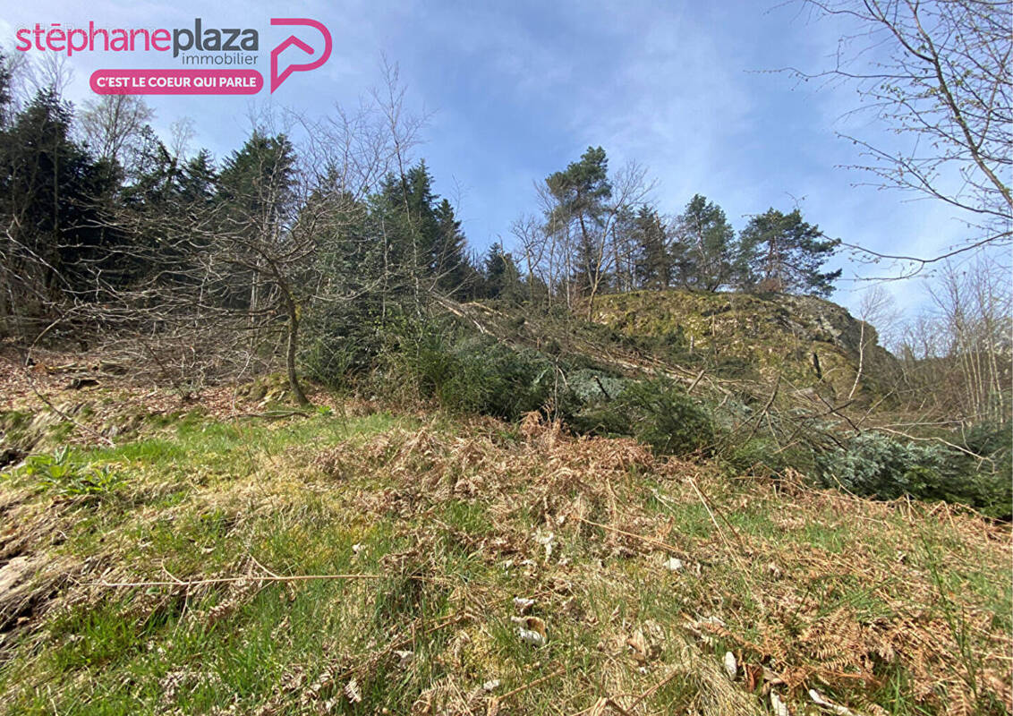 Terrain à SAINT-NABORD