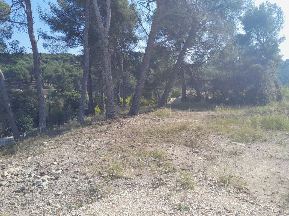 Terrain 870 m² à Septemes-Les-Vallons  - photo 2