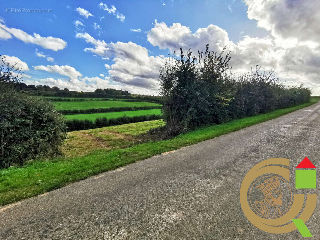 Terrain à VIEIL-HESDIN