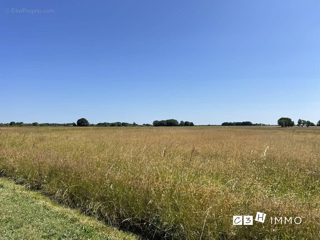 Terrain 820 m² à Cambernard  - photo 3