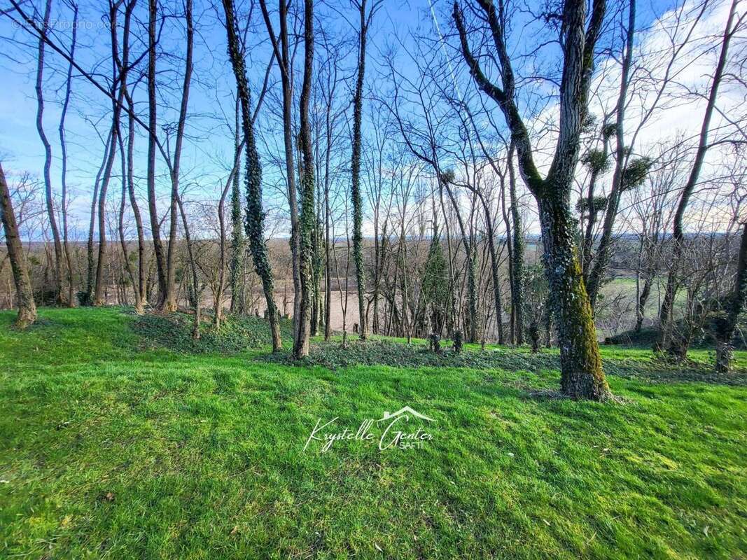Photo 2 - Terrain à CHOISEY