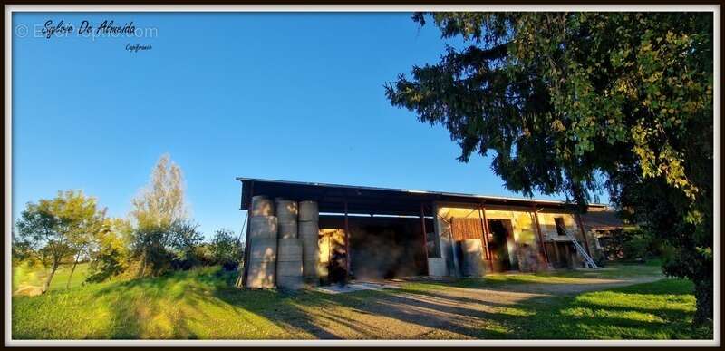 Maison à PONT-DE-VEYLE