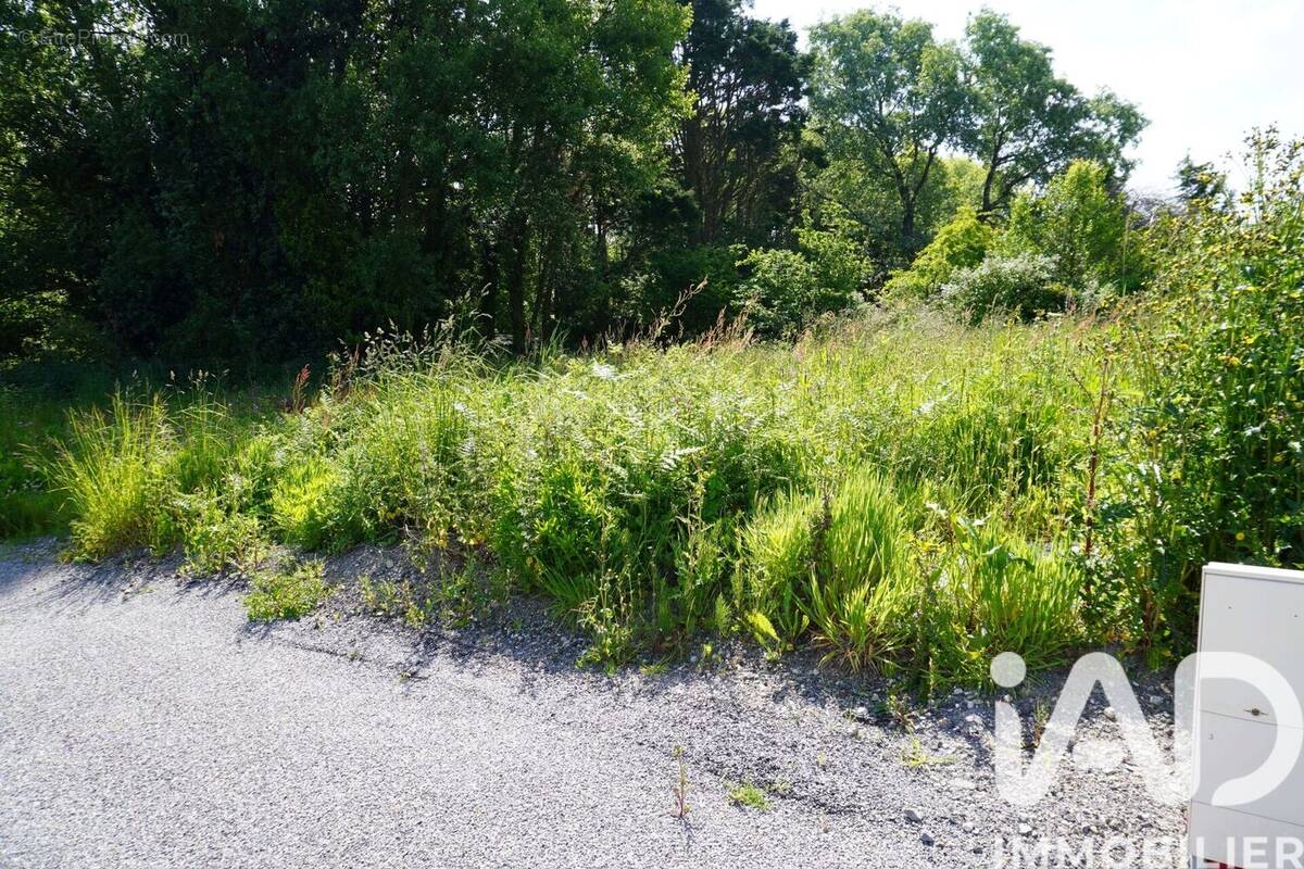 Photo 1 - Terrain à LESNEVEN