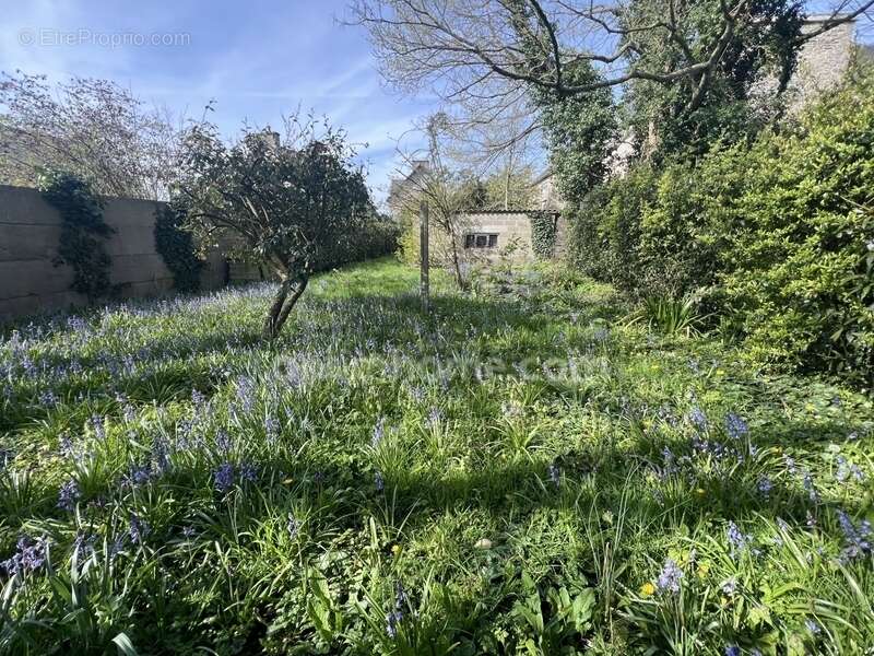 Appartement à DINAN