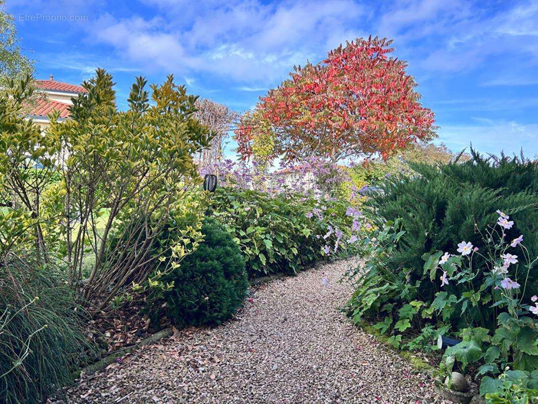 Maison à SAINT-LAURENT-DE-CHAMOUSSET