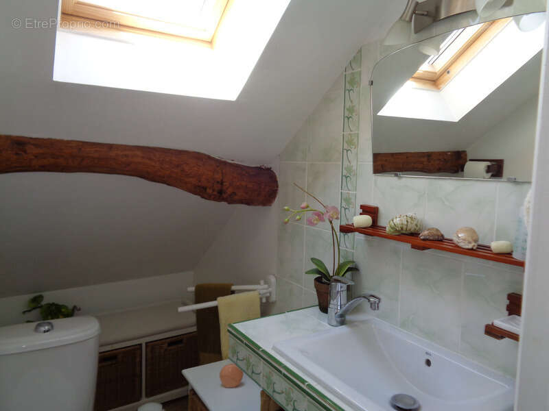 Maisons à vendre TREIGNY (89) Ensemble de deux maison 11pcs 5 ou 6 chbs, piscine, panneau solaire - photo 20