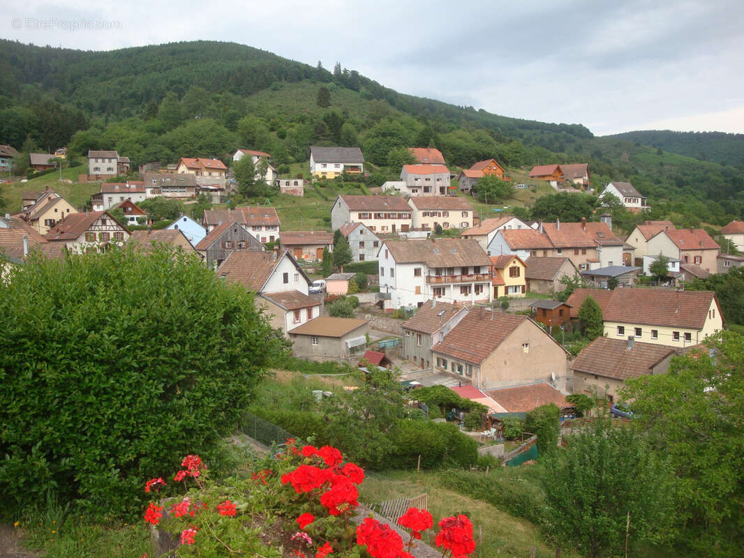 Natzwiller, exceptionnel, terrain à bâtir sur les hauteurs : projet de construction « Prêt à démarrer » avec v - photo 11