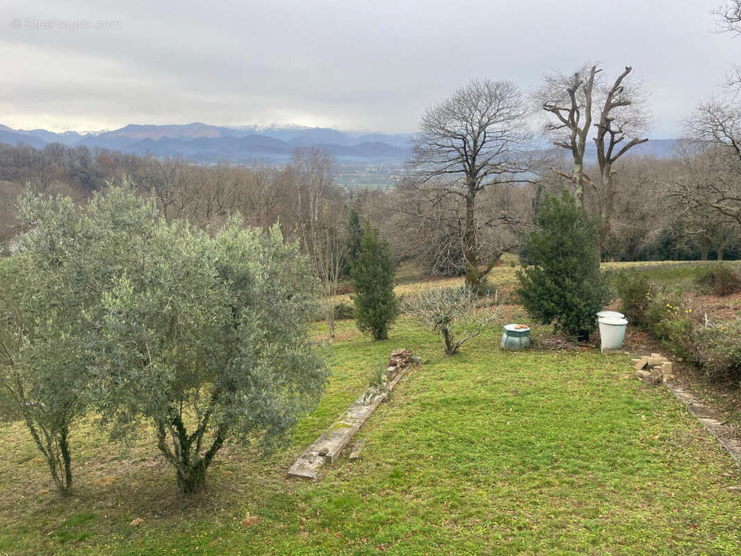 IMG_5436 - Maison à OLORON-SAINTE-MARIE