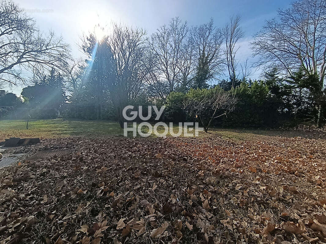 Terrain à LE THOR