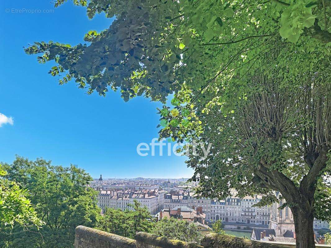 Appartement - photo 2