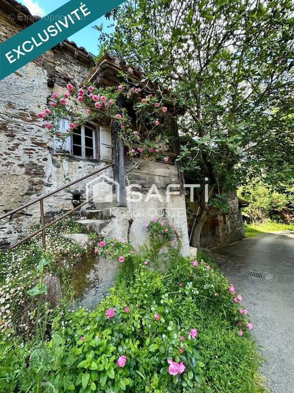 Photo 2 - Maison à MONTREDON-LABESSONNIE
