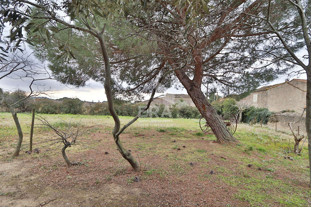 Maison 105m² à laure-minervois - photo 16